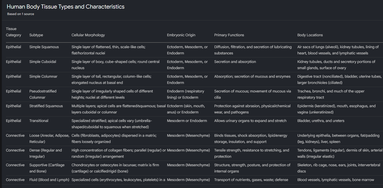 Screenshot 2026-01-26 111251